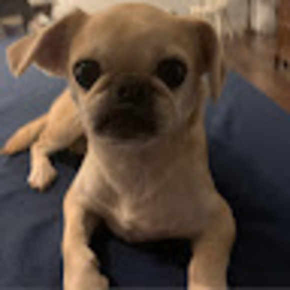 Meet your Posher, Don - Picture 1 of 1